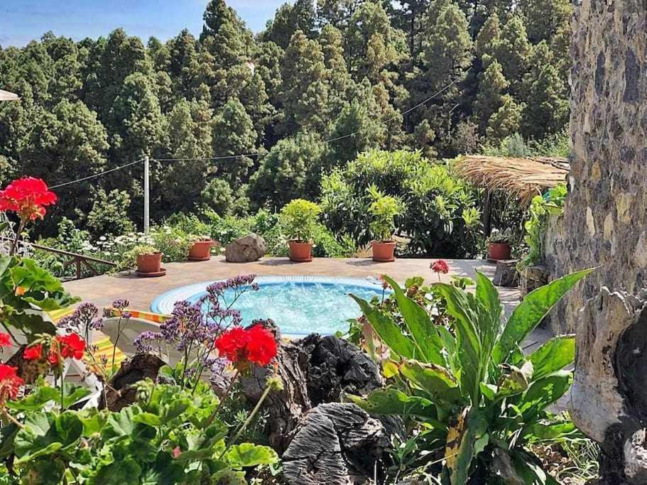 Finca Los Tamarillos Санта-Крус-де-Тенерифе Экстерьер фото